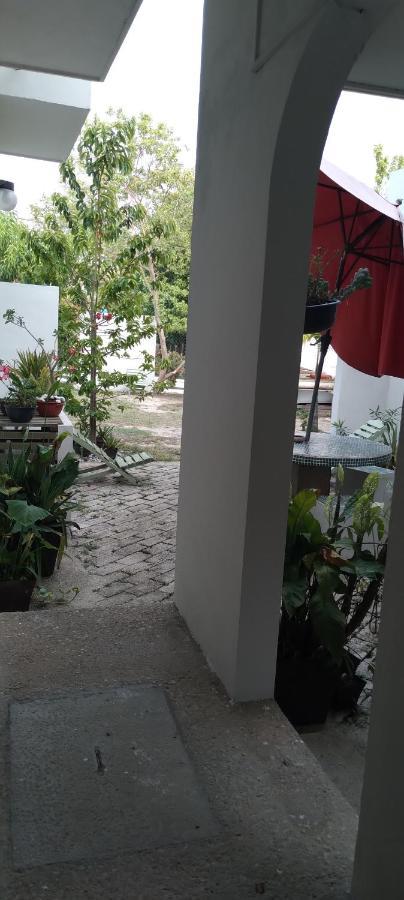 Departamentos De La Reina Roja Apartment Palenque Bagian luar foto