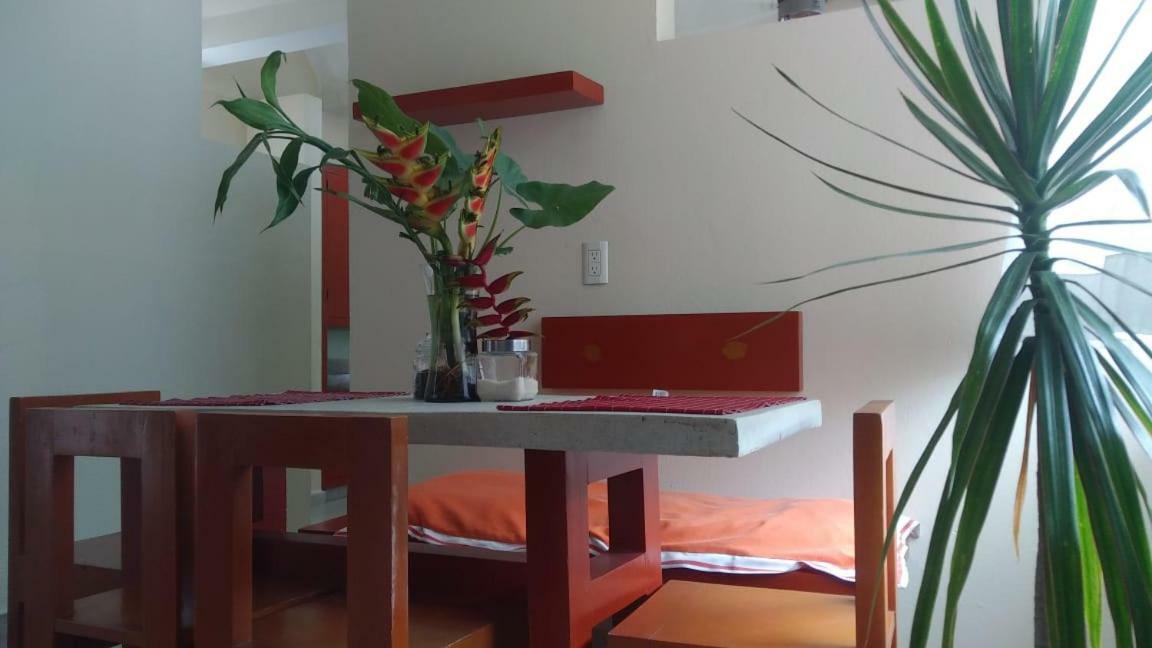 Departamentos De La Reina Roja Apartment Palenque Bagian luar foto